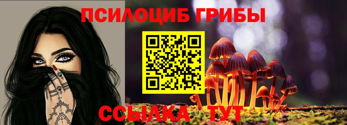Владивосток  Псилоцибиновые грибы Cubensis  Вход с VPN 
